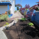 This bed and walkway are new this year