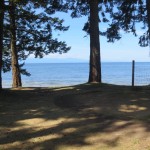 Shelter Point Park (from our picnic bench)